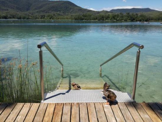 Camping Bungalow El Llac De Banyoles Porqueres Exteriör bild