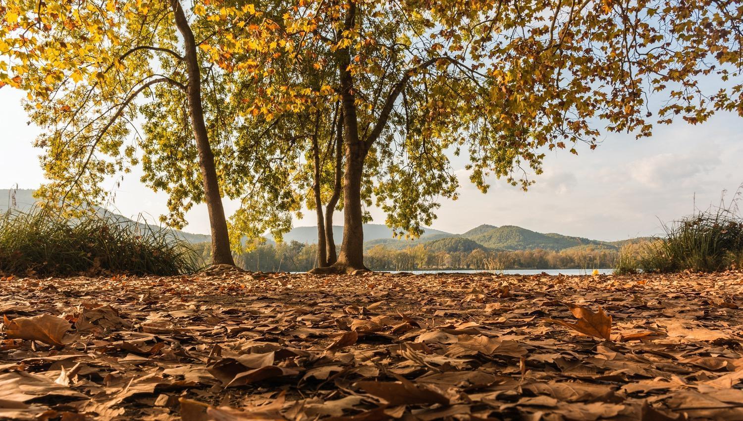 Camping Bungalow El Llac De Banyoles Porqueres Exteriör bild