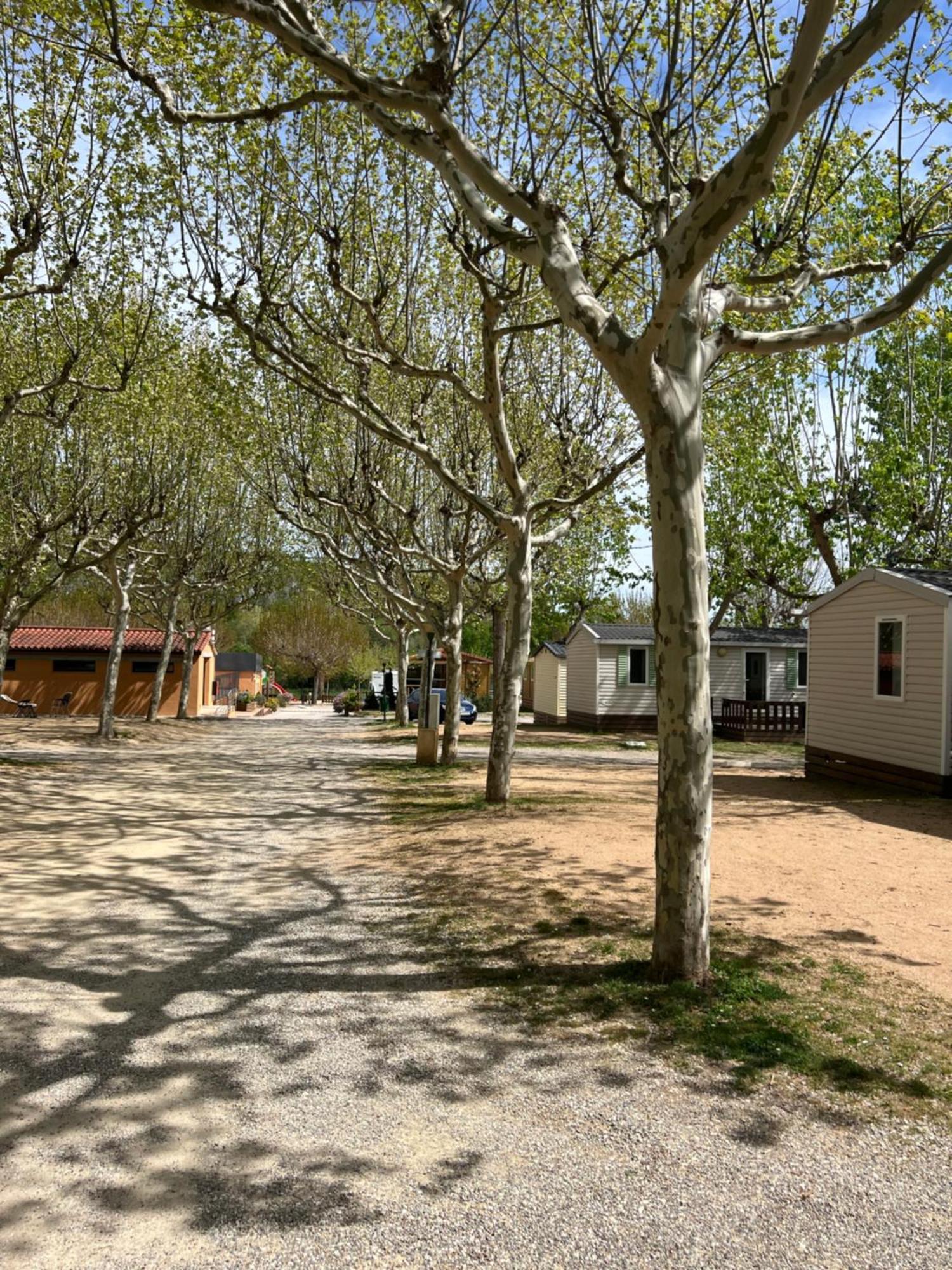 Camping Bungalow El Llac De Banyoles Porqueres Exteriör bild